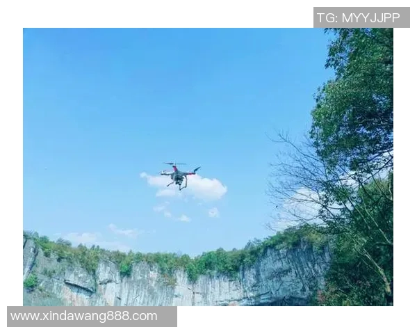 西平姚明霞的奋斗故事与乡村振兴的美好愿景 西平姚明霞的奋斗故事与乡村振兴的美好愿景