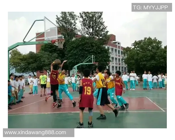 湖南姚明芳的传奇人生与篮球梦想的追逐之路