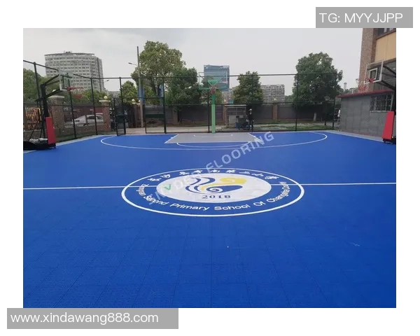 奉节篮球明星的崛起与梦想追逐之路探索