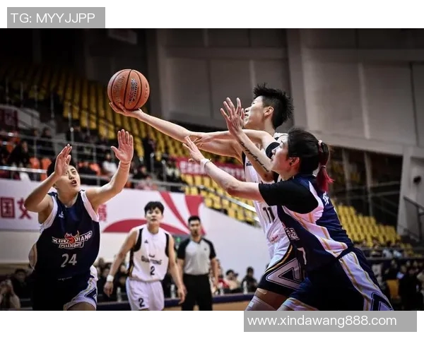 篮球明星大学培养未来之星的摇篮与传奇的诞生地