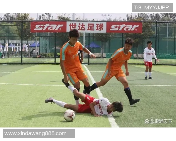 中国足球精彩瞬间回顾展现激情与梦想的赛场魅力与团队精神的完美结合